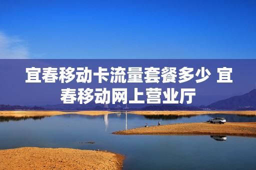 宜春移动卡流量套餐多少 宜春移动网上营业厅