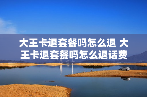 大王卡退套餐吗怎么退 大王卡退套餐吗怎么退话费