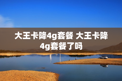 大王卡降4g套餐 大王卡降4g套餐了吗