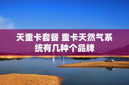 天重卡套餐 重卡天然气系统有几种个品牌