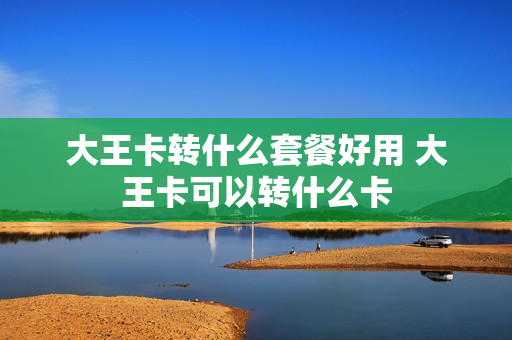 大王卡转什么套餐好用 大王卡可以转什么卡