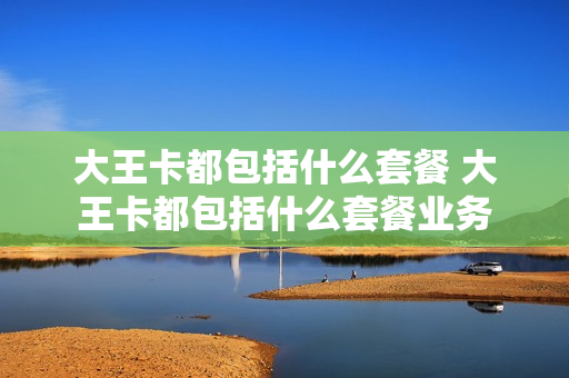 大王卡都包括什么套餐 大王卡都包括什么套餐业务