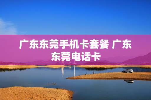 广东东莞手机卡套餐 广东东莞电话卡