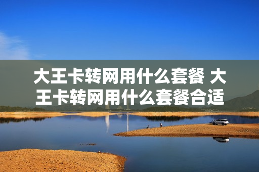 大王卡转网用什么套餐 大王卡转网用什么套餐合适