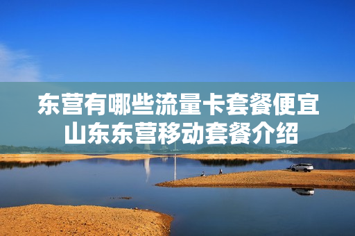 东营有哪些流量卡套餐便宜 山东东营移动套餐介绍