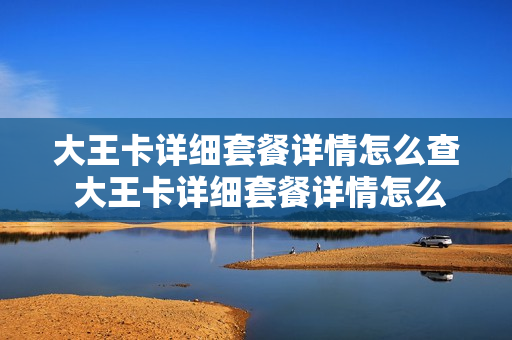 大王卡详细套餐详情怎么查 大王卡详细套餐详情怎么查不到
