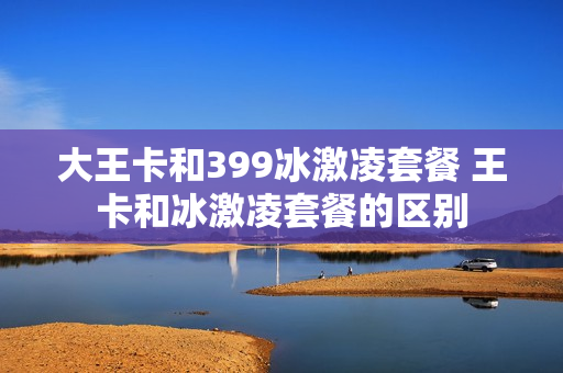 大王卡和399冰激凌套餐 王卡和冰激凌套餐的区别