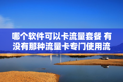 哪个软件可以卡流量套餐 有没有那种流量卡专门使用流量的电话卡