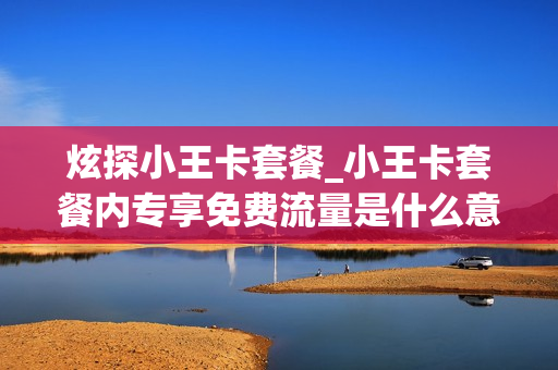 炫探小王卡套餐_小王卡套餐内专享免费流量是什么意思