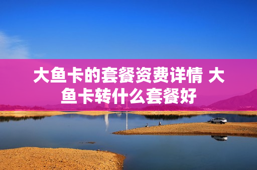 大鱼卡的套餐资费详情 大鱼卡转什么套餐好