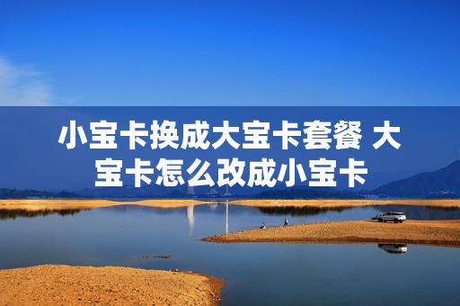 小宝卡换成大宝卡套餐 大宝卡怎么改成小宝卡