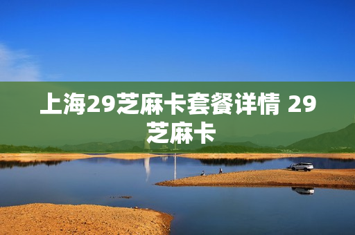 上海29芝麻卡套餐详情 29 芝麻卡