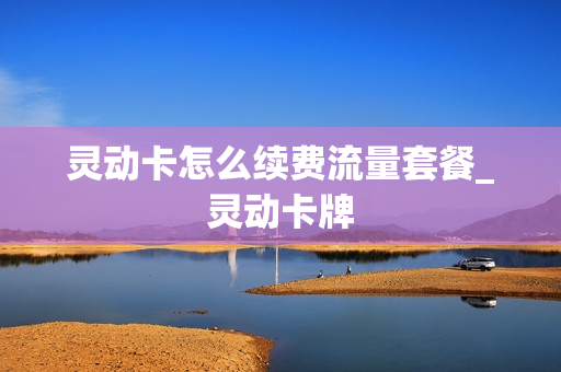 灵动卡怎么续费流量套餐_灵动卡牌