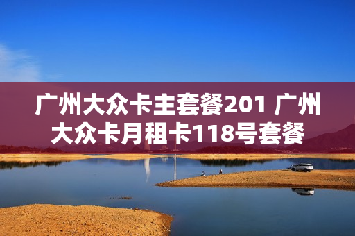 广州大众卡主套餐201 广州大众卡月租卡118号套餐