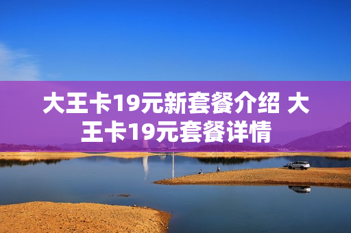 大王卡19元新套餐介绍 大王卡19元套餐详情