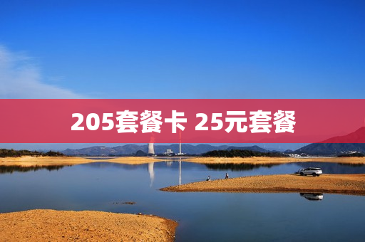 205套餐卡 25元套餐