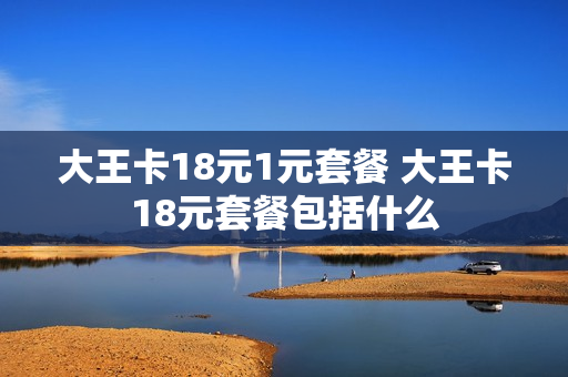 大王卡18元1元套餐 大王卡18元套餐包括什么