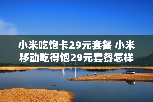 小米吃饱卡29元套餐 小米移动吃得饱29元套餐怎样?