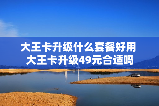 大王卡升级什么套餐好用 大王卡升级49元合适吗