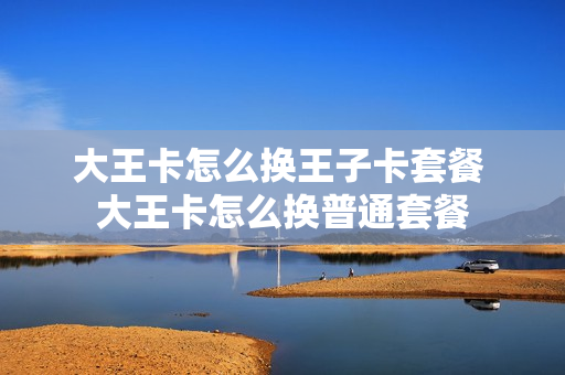大王卡怎么换王子卡套餐 大王卡怎么换普通套餐