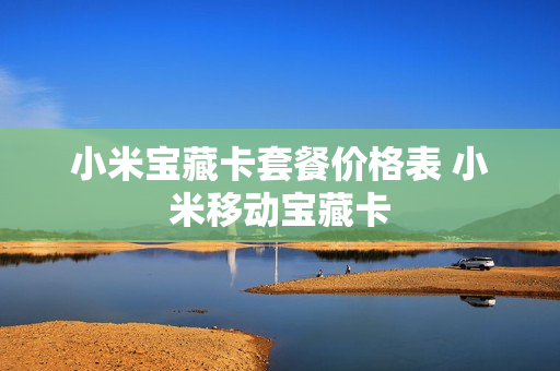 小米宝藏卡套餐价格表 小米移动宝藏卡