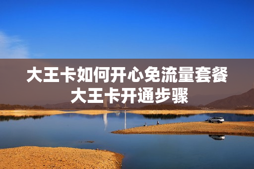 大王卡如何开心免流量套餐 大王卡开通步骤