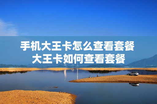 手机大王卡怎么查看套餐 大王卡如何查看套餐