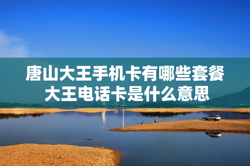 唐山大王手机卡有哪些套餐 大王电话卡是什么意思
