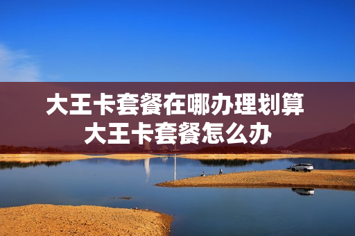 大王卡套餐在哪办理划算 大王卡套餐怎么办