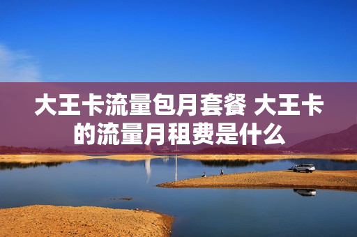 大王卡流量包月套餐 大王卡的流量月租费是什么