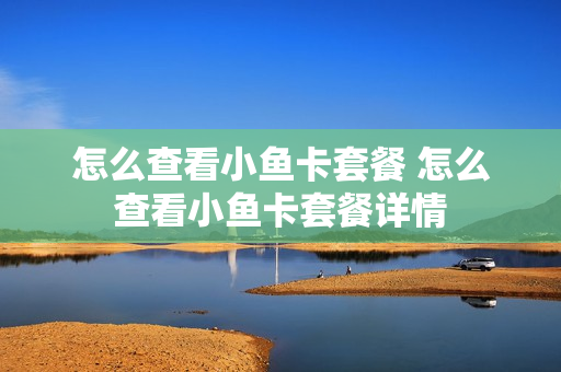怎么查看小鱼卡套餐 怎么查看小鱼卡套餐详情