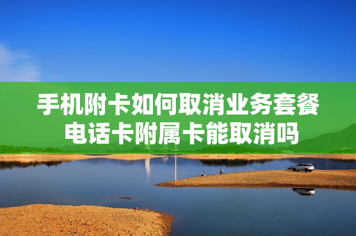 手机附卡如何取消业务套餐 电话卡附属卡能取消吗