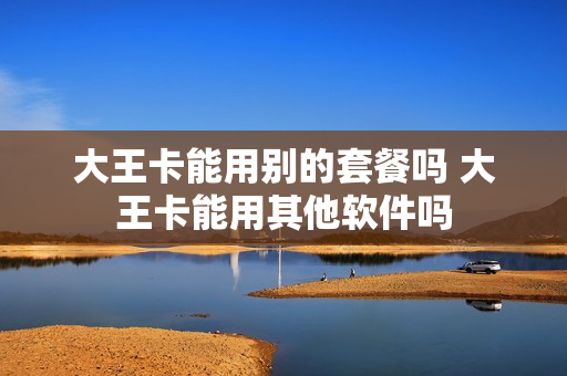 大王卡能用别的套餐吗 大王卡能用其他软件吗