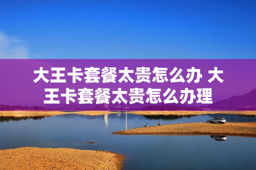 大王卡套餐太贵怎么办 大王卡套餐太贵怎么办理