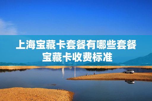 上海宝藏卡套餐有哪些套餐 宝藏卡收费标准