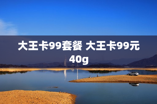 大王卡99套餐 大王卡99元40g