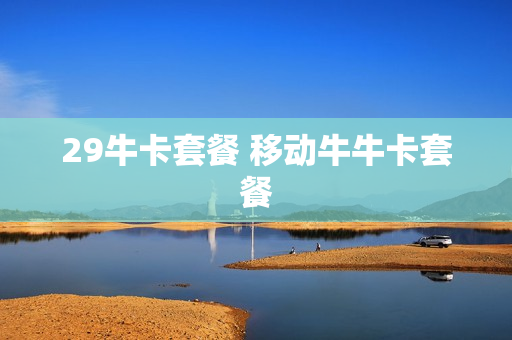 29牛卡套餐 移动牛牛卡套餐