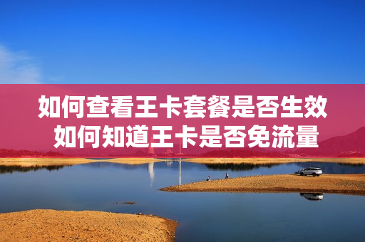 如何查看王卡套餐是否生效 如何知道王卡是否免流量