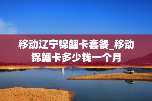 移动辽宁锦鲤卡套餐_移动锦鲤卡多少钱一个月