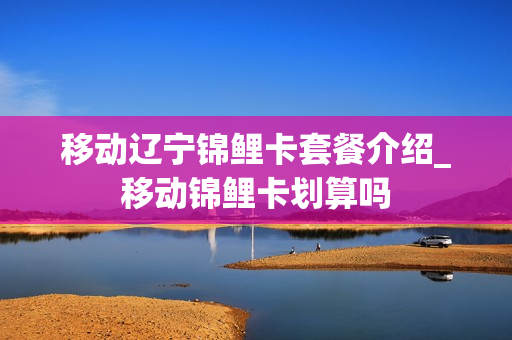 移动辽宁锦鲤卡套餐介绍_移动锦鲤卡划算吗