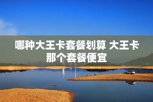 哪种大王卡套餐划算 大王卡那个套餐便宜