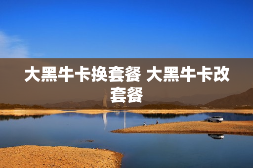 大黑牛卡换套餐 大黑牛卡改套餐
