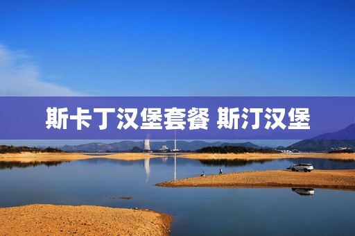 斯卡丁汉堡套餐 斯汀汉堡