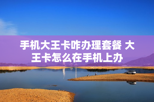 手机大王卡咋办理套餐 大王卡怎么在手机上办