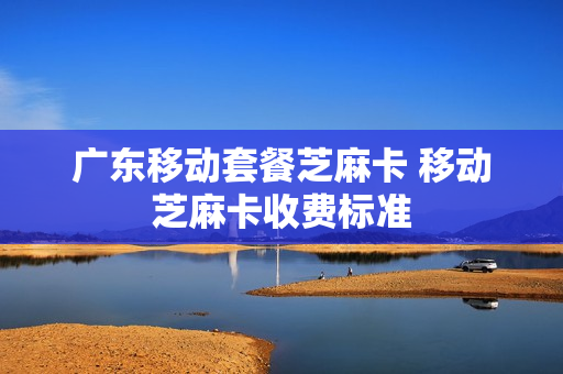 广东移动套餐芝麻卡 移动芝麻卡收费标准