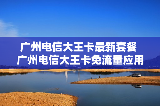 广州电信大王卡最新套餐 广州电信大王卡免流量应用