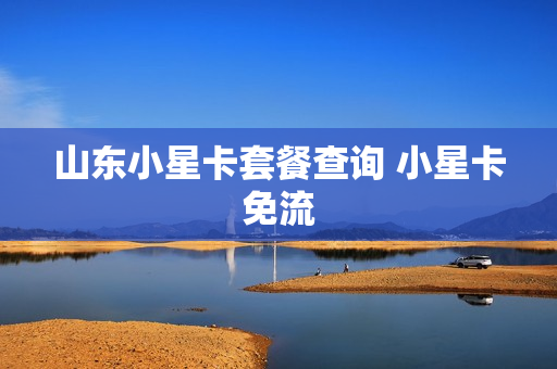 山东小星卡套餐查询 小星卡免流
