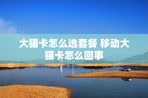 大猫卡怎么选套餐 移动大猫卡怎么回事
