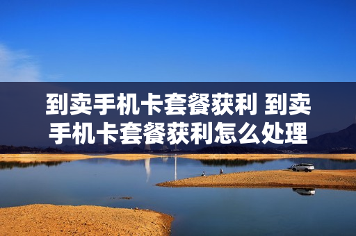 到卖手机卡套餐获利 到卖手机卡套餐获利怎么处理
