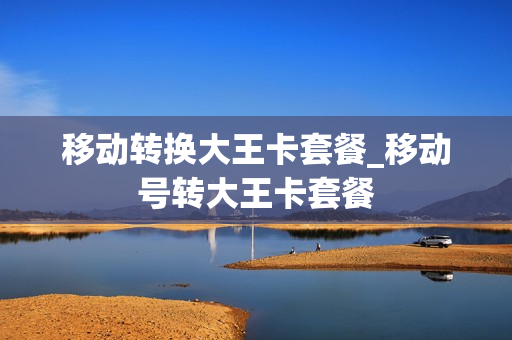 移动转换大王卡套餐_移动号转大王卡套餐